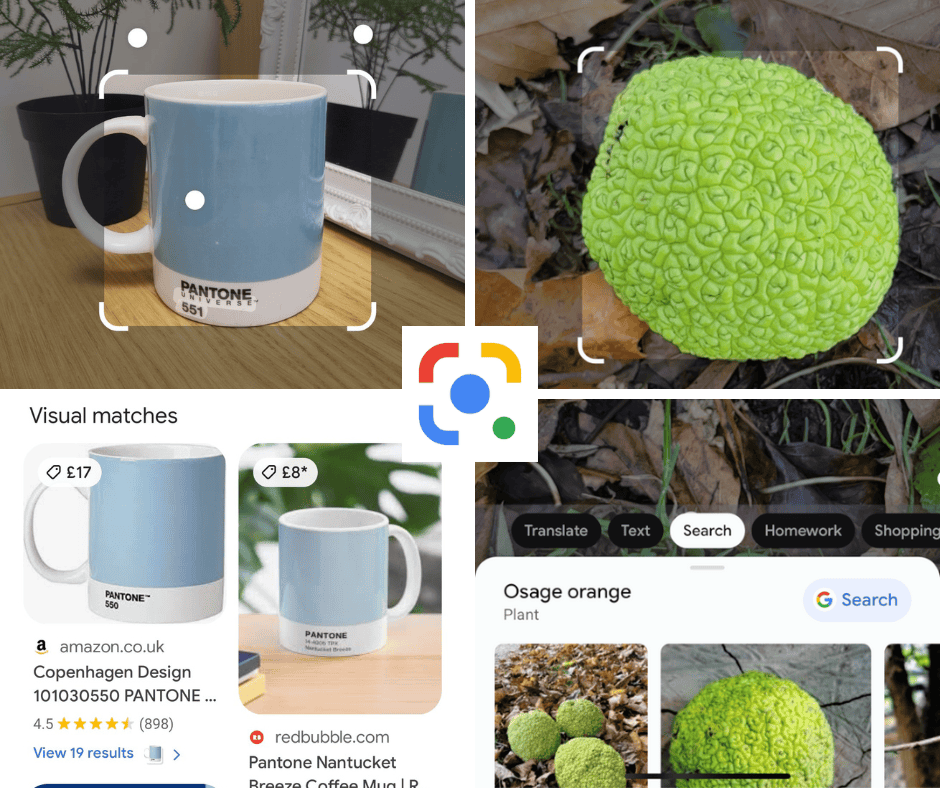 Google Lens: Your smartphone’s best kept secret