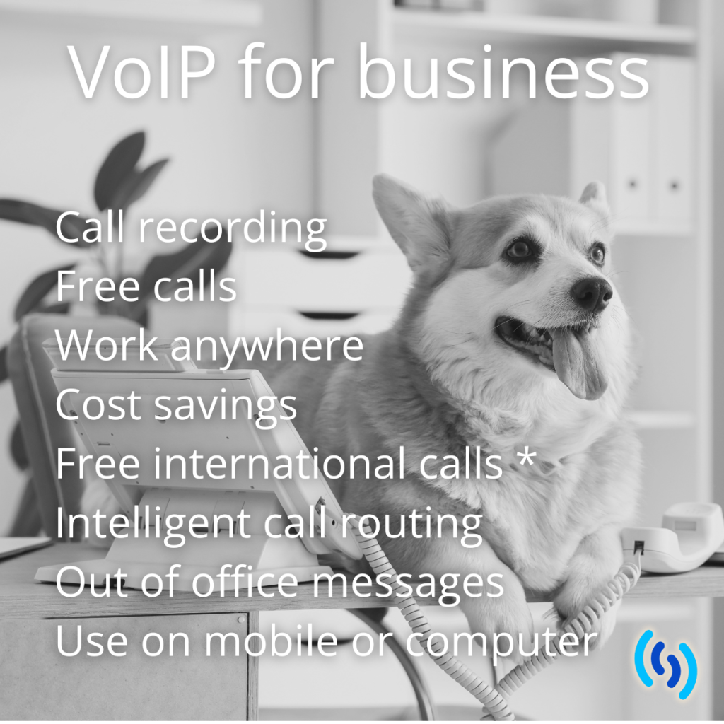 VoIP for business